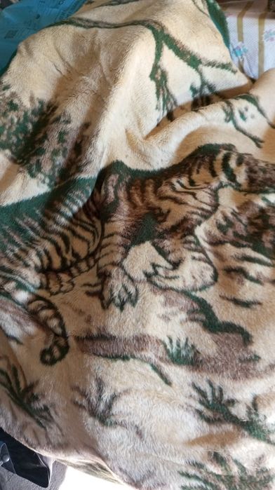 Cobertor novo.guardado