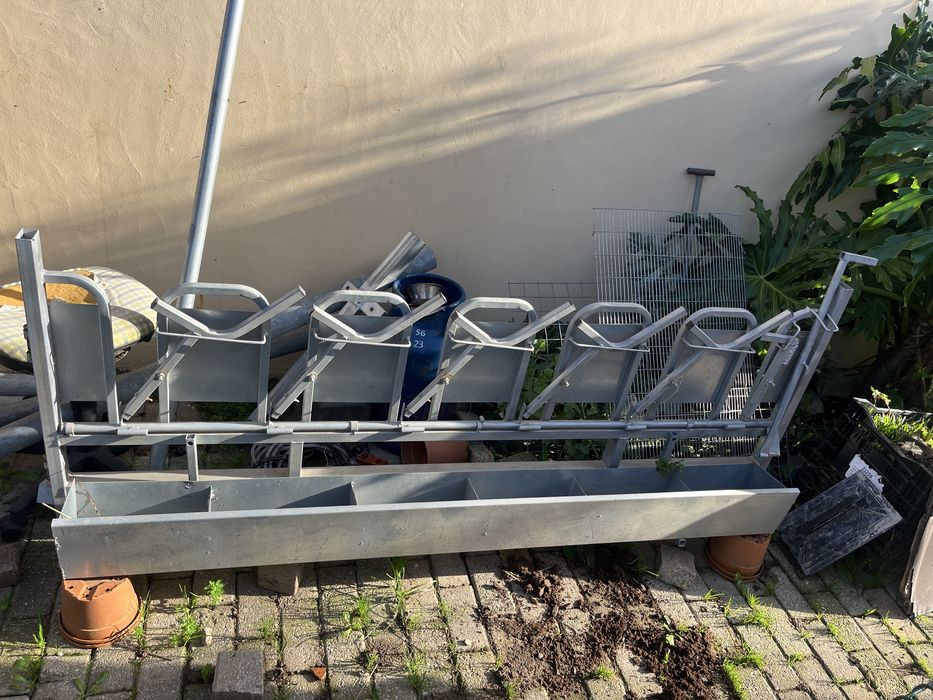 Amarre de Cabras/Ovelhas