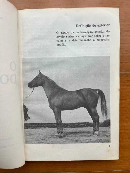 "O Exterior do Cavalo" de José Miranda do Vale