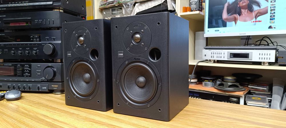 Акустика canton   Fonum 230