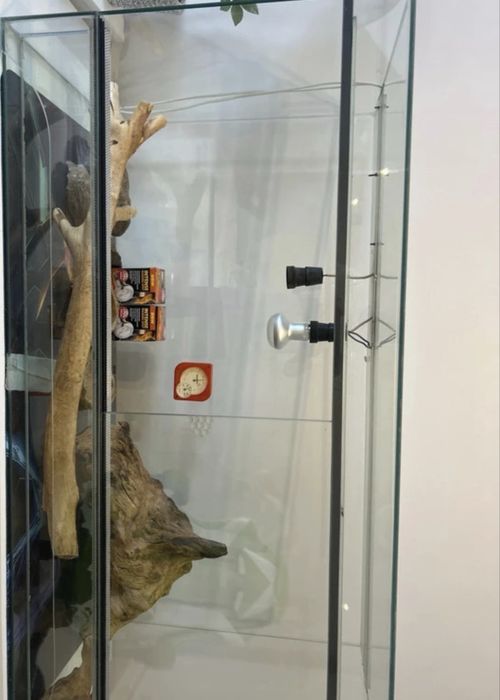 Terrarium (odbior osobisty)