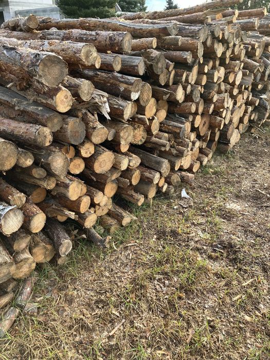 Drewno opałowe sosna