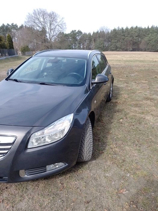 Opel Insignia, salon polska