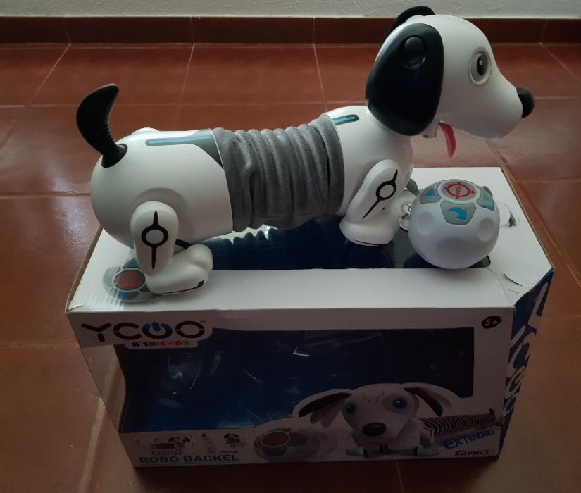 cão robo dackel novo