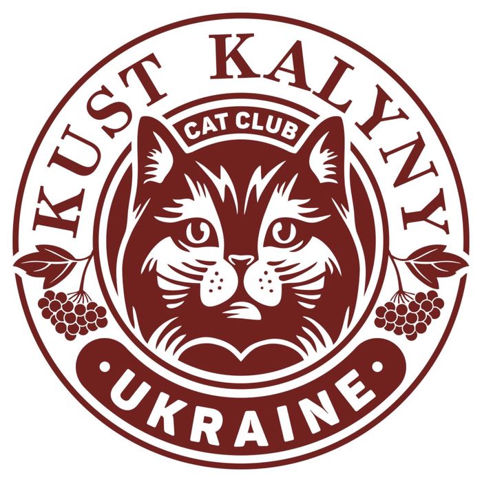 Злучка прямовухий кіт