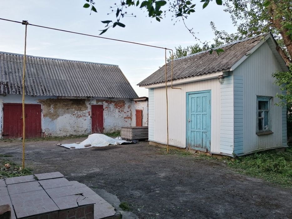 Продам будинок в селі Витків