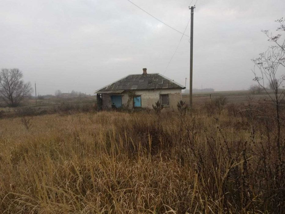 Продаж будівель телятників