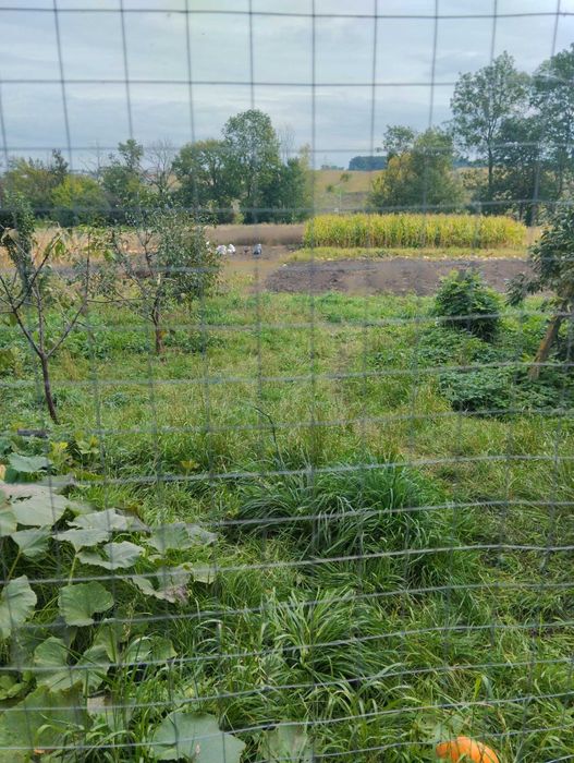 Продається будинок за 10 км від Тернополя в с. Буцнів