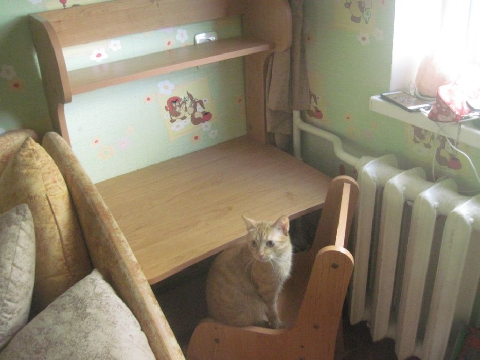 Школьный стол+стул.