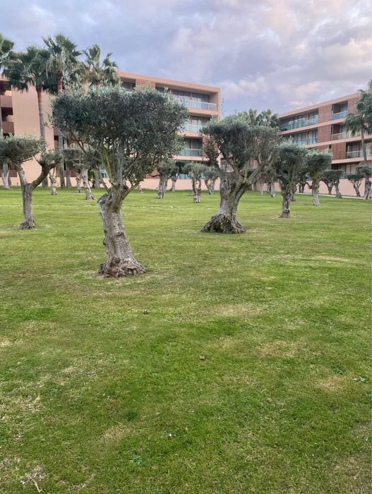 Apartamento t2 vila das lagoas herdade dos salgados