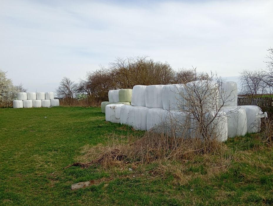 Sprzedam bele sianokiszonki