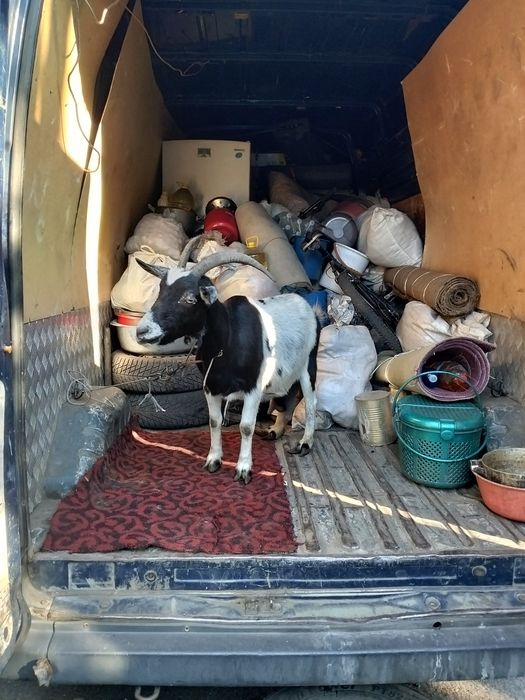 Вантажні перевезення