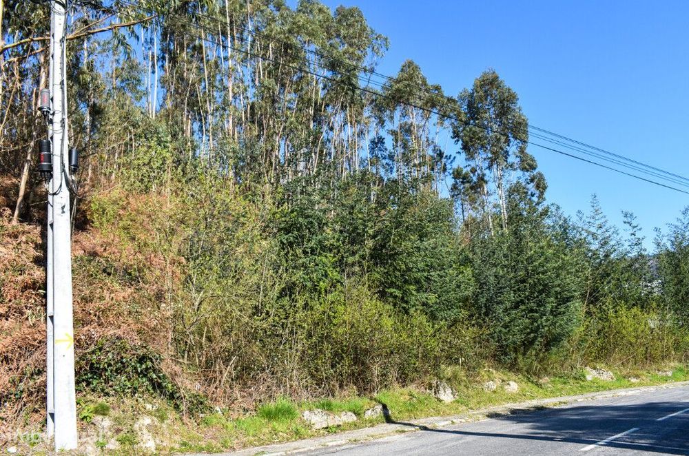 Lote Construção - Vieira do Minho — Vieira do Minho, Braga