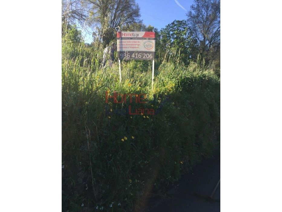 Terreno em Albergaria-A-Velha