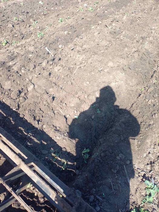 Продам дискову борону