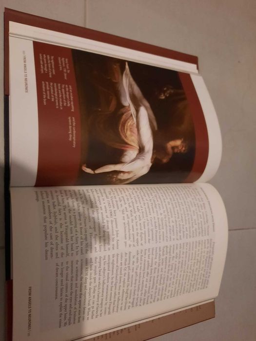 From Angels to Neurones (portes grátis)