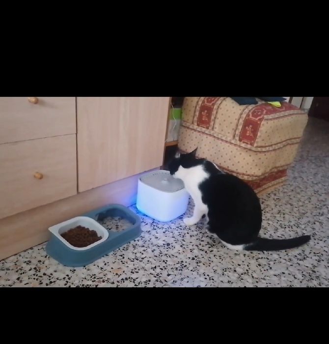 Фонтан-поїлка для Кішок і Собак 3л.