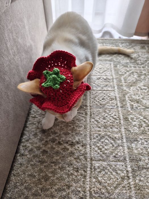 Chapéu de crochet para gato inspirado em morangos