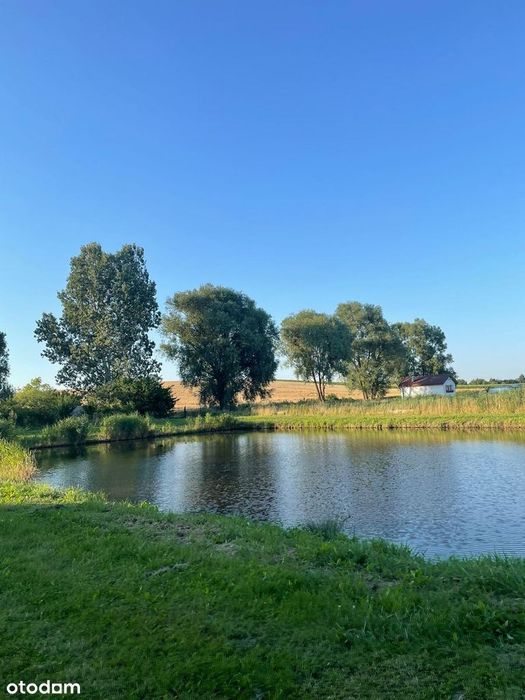 Działka, Sulnowo