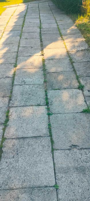 Płyta chodnikowa 50x50 szara betonowa