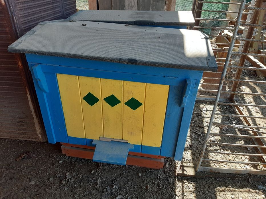 Ule warszawskie poszerzone