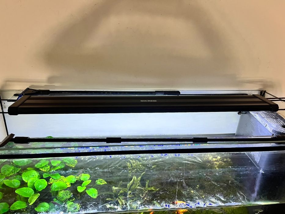 Vendo Aquário 200 litros