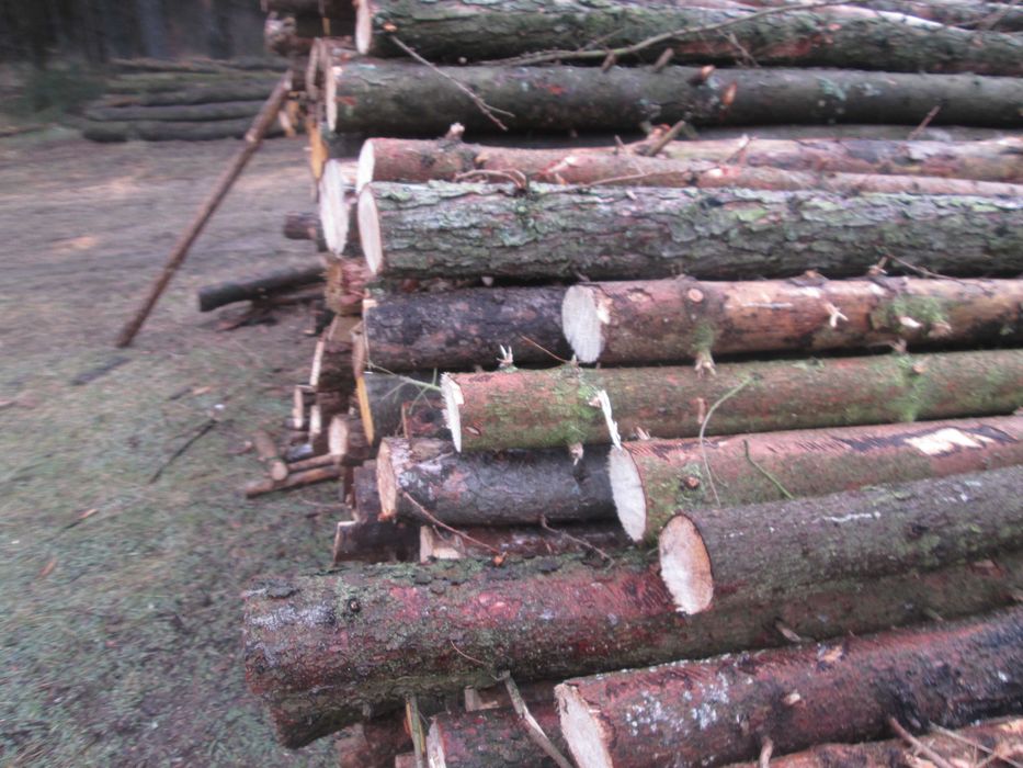 stemple, żerdzie sprzedam