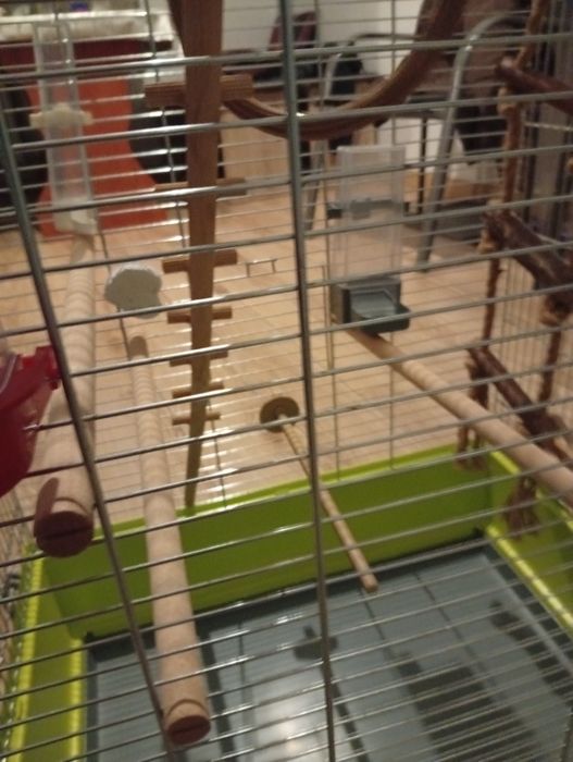 Sprzedam klatkę dla papug