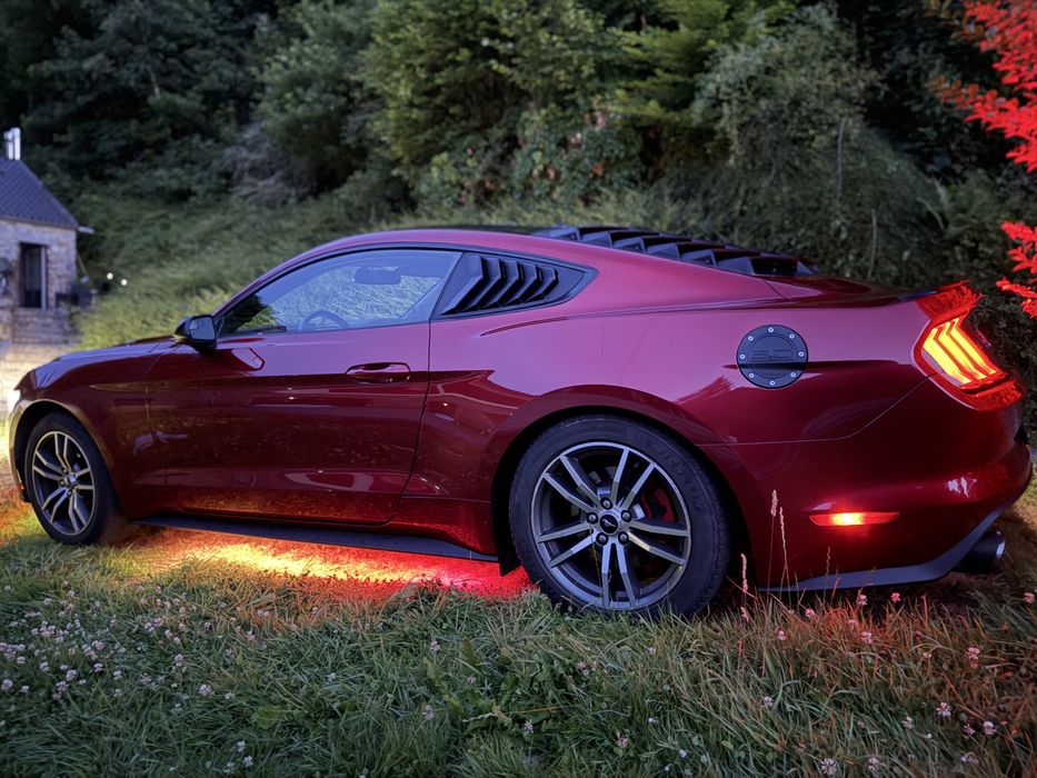 Ford Mustang EcoBoost 2015 р., 317 к.с.

Продам Ford Mustang 2015 року з двигуном 2.3 EcoBoost потужністю 317 к.с. у відмінному технічному та візуальному стані.
Автомобіль знаходиться у місті Малин приблизно 100 км від Києва.

Після купівлі повністю привела авто до ладу, оскільки попередні власники майже не обслуговували машину. Робила для себе, щоб їздити комфортно і без неприємних несподіванок. Автомобіль не готувався спеціально до продажу, а експлуатувався дбайливо і без перевантажень.

Замінено та зроблено:
передні важелі
амортизатори
гальмівні колодки
розширювальний бачок охолоджувальної рідини
новий акумулятор
помпа охолоджувальної рідини
заміна прокладки ГБЦ та фрезерування ГБЦ
встановлено нові чіткі лінзи у фарах
завжди своєчасна заміна масла та фільтрів

У технічну частину вкладено близько 3000 євро без економії, всі роботи виконувались якісно.

Комплектація та опції:
камера заднього виду
підігрів та охолодження сидінь
запуск двигуна з ключа
підсвітка під автомобілем
чистий якісний аудіозвук

Нюанс:
на панелі приладів горить індикатор датчика тиску в шинах. Після заміни коліс датчик не був підключений або прописаний. Питання не критичне і вирішується під час наступної заміни шин.

Причина продажу. Є інший автомобіль, цей став зайвим.