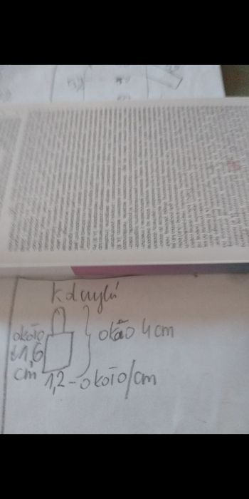 Srebrne kolczyki na Prezent idealne