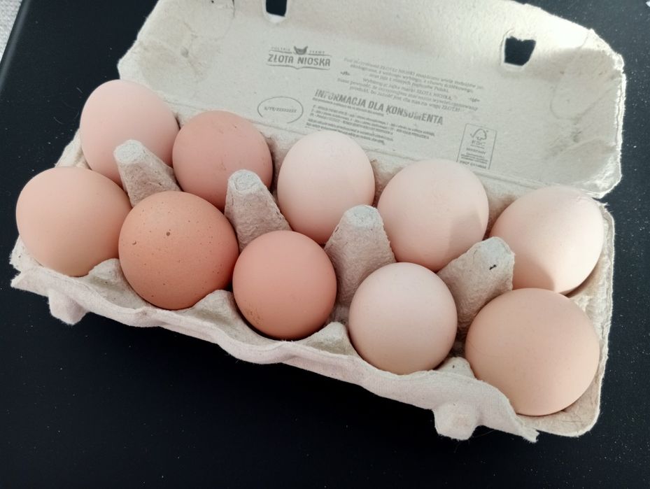 jajka swojskie duże