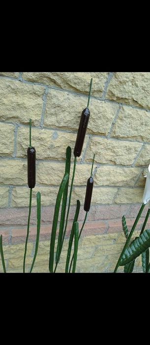 Садовый декор дерево,металл