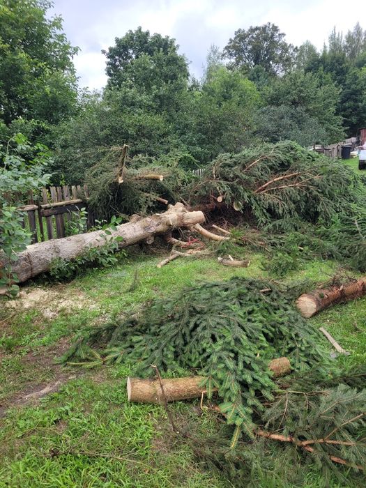 Sprzatanie  posesji  wycinka drzew