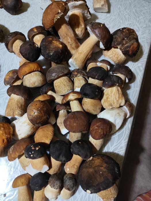 Мариновані гриби