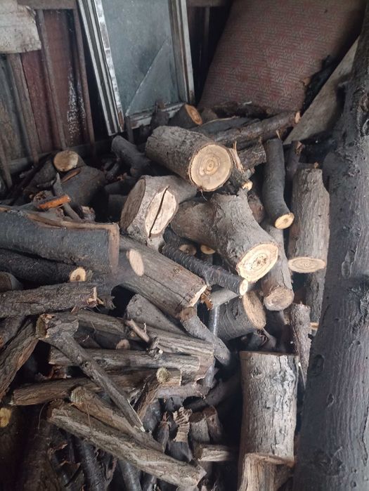 ДРОВА ФРУКтових дерев