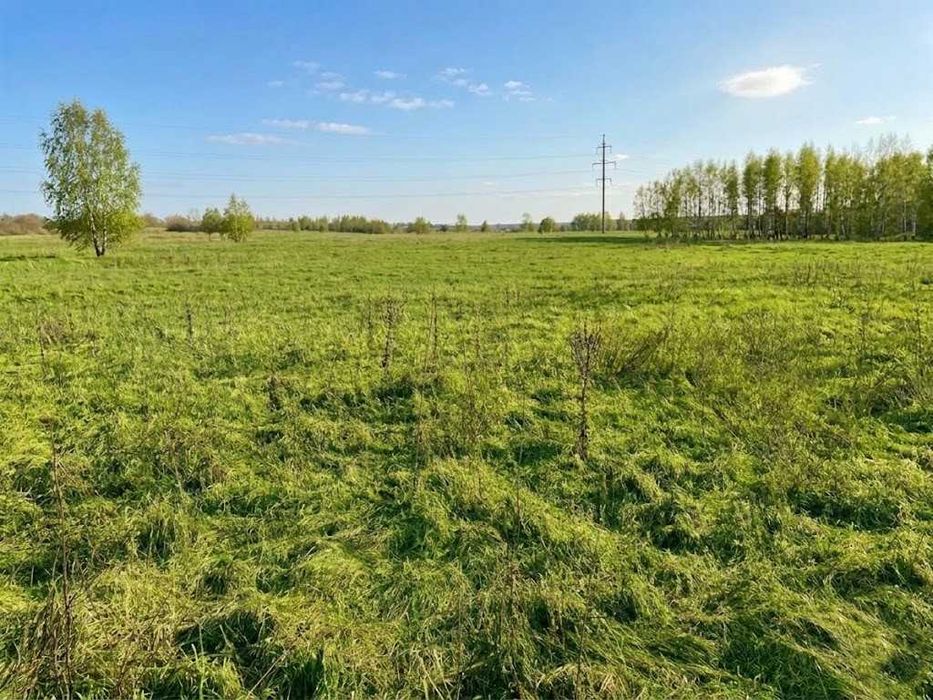 Продаж земельної ділянки 1,5982 га у Мироцькому !