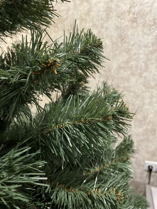 Ялинка декоративна.