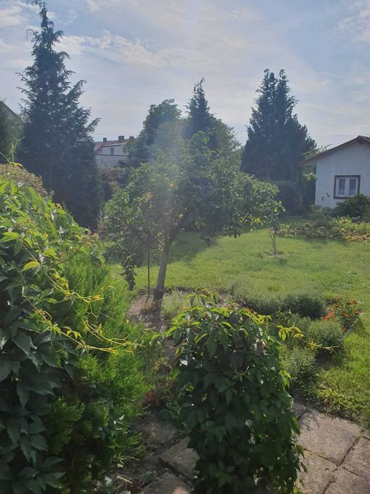 Atrakcyjna działka na sprzedaż - Widok 5