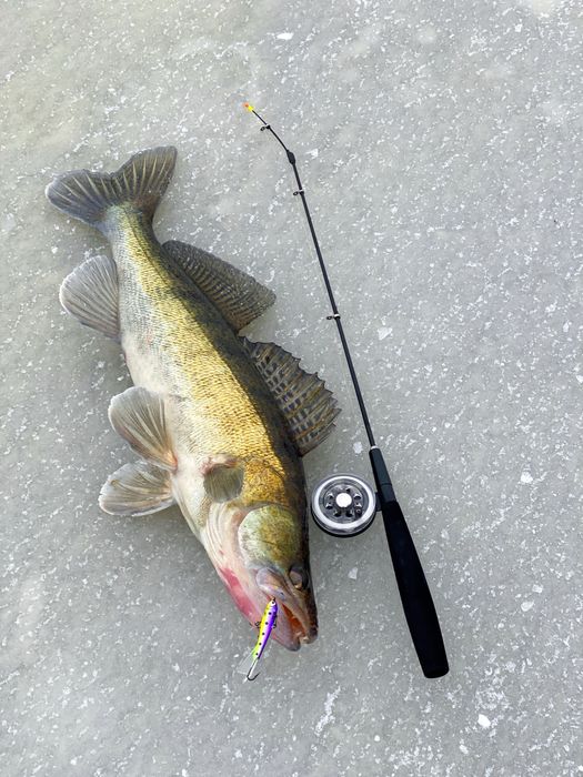 Удочка зимняя Судаковая. Удочка блеснилка зимняя для ловли судака