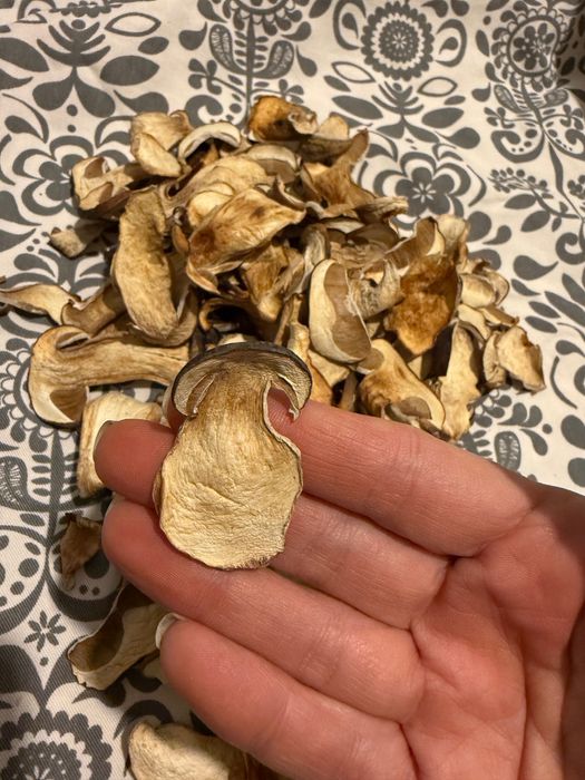 Prawdziwki suszone 2025