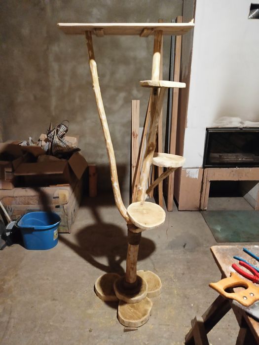 Когтеточка, будинок для кішки чи кота