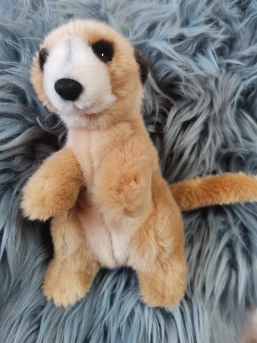 Surykatka śliczna maskotka Nature Planet meerkat