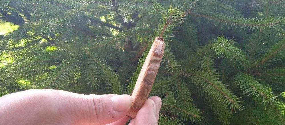 Krążki drewniane, 1000 sztuk, 1-3 cm, plastry , talarki, drewniane