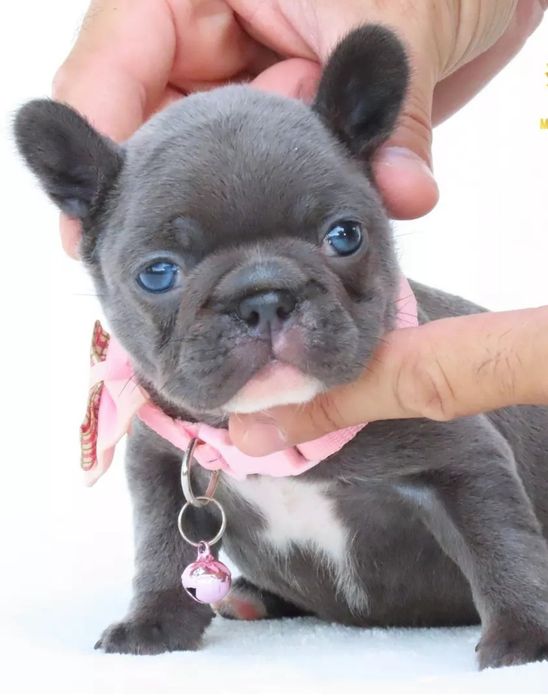 Найкращій хлопець !