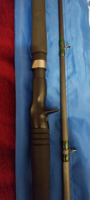 Спиннинг Daiwa Saltist под джерки, и крупный силикон