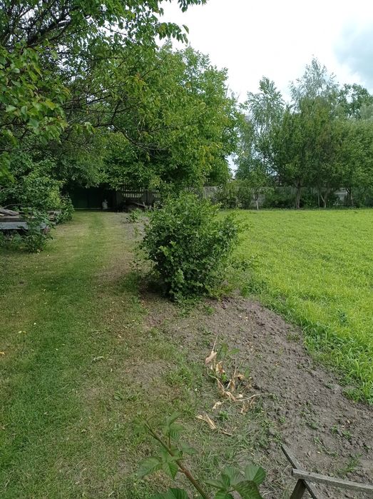 Доглянута садиба в передмісті Чернігова. Село Деснянка.