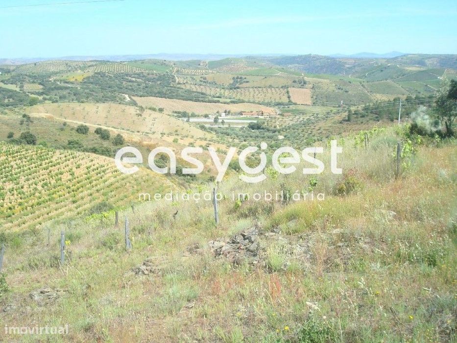 Excelente terreno agrícola localizado na aldeia de Longroiva