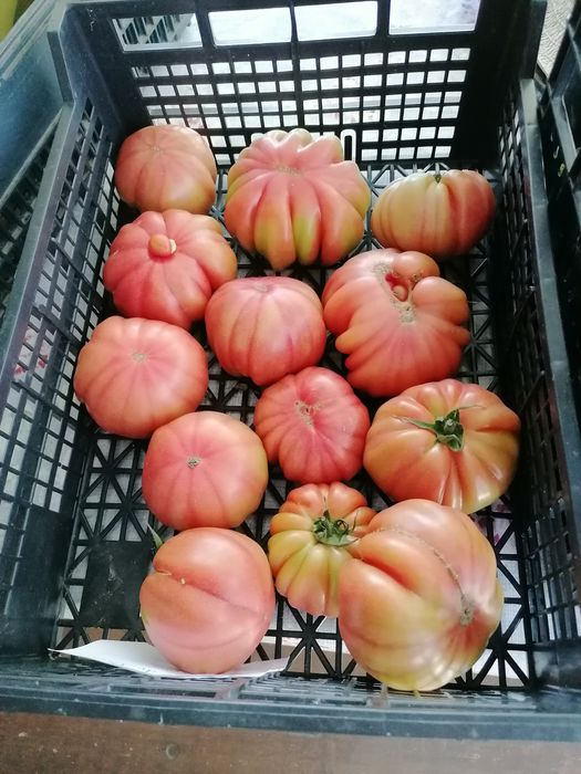 Vendo frutas e legumes