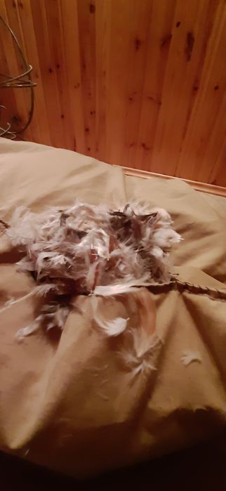 Перьевой матрац-перина 20кг