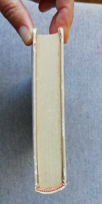 Livro Patrão Bento de Aleixo Ribeiro